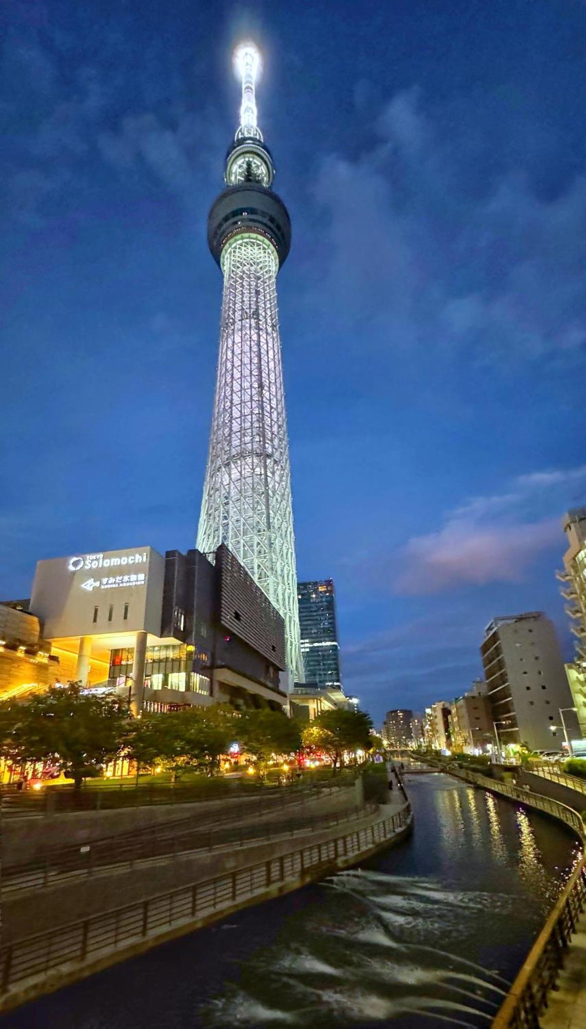 Tokyo Sakura Hotel Экстерьер фото